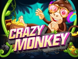 Crazy Monkey